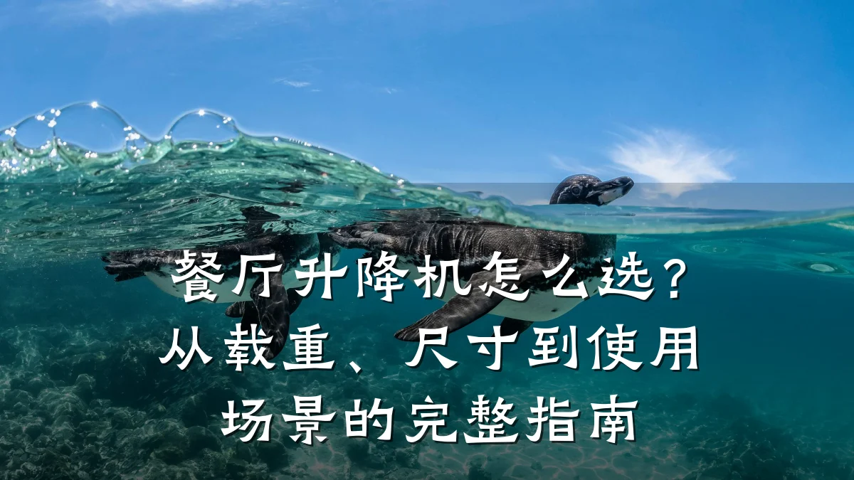 餐厅升降机怎么选?从载重、尺寸到使用场景的完整指南