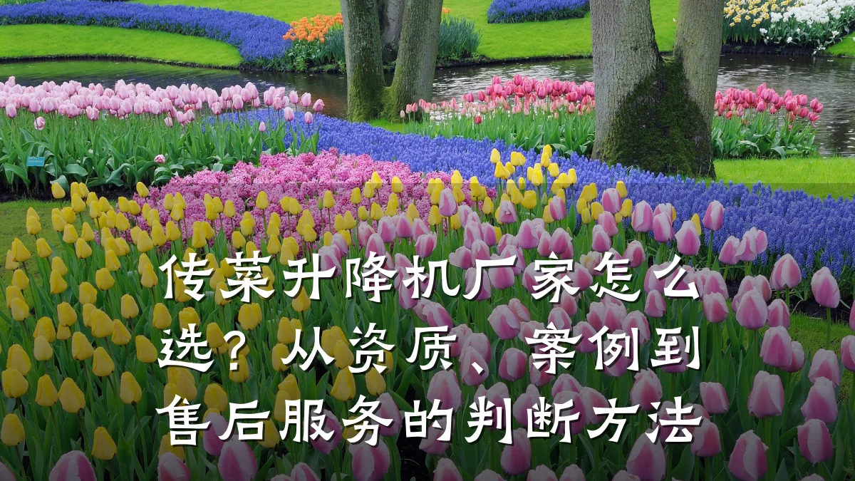 传菜升降机厂家怎么选?从资质、案例到售后服务的判断方法
