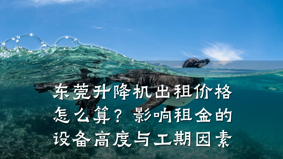东莞升降机出租价格怎么算?影响租金的设备高度与工期因素