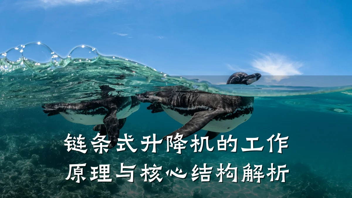 链条式升降机的工作原理与核心结构解析