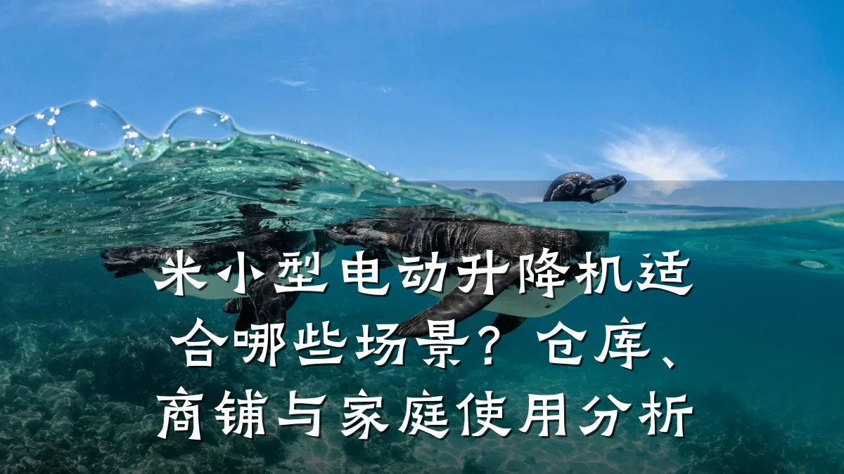 米小型电动升降机适合哪些场景?仓库、商铺与家庭使用分析
