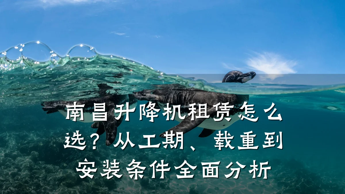 南昌升降机租赁怎么选?从工期、载重到安装条件全面分析