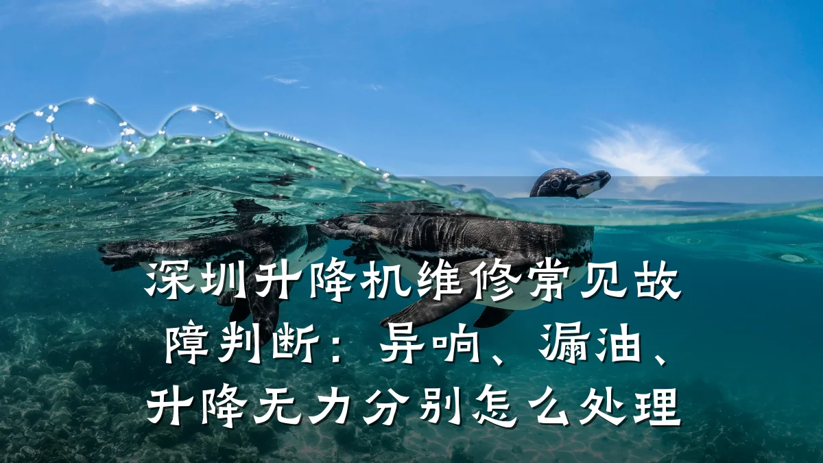 深圳升降机维修常见故障判断:异响、漏油、升降无力分别怎么处理