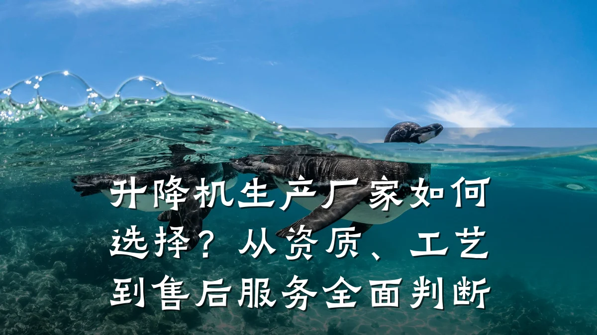升降机生产厂家如何选择?从资质、工艺到售后服务全面判断