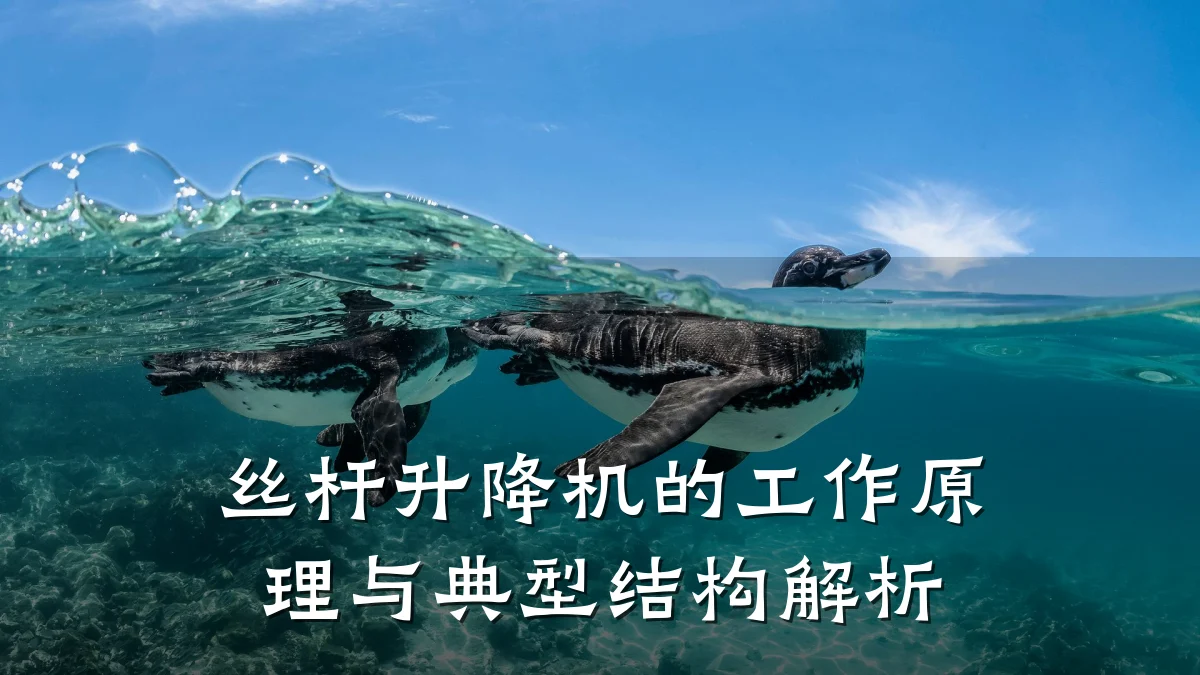 丝杆升降机的工作原理与典型结构解析
