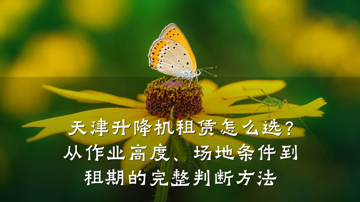 天津升降机租赁怎么选?从作业高度、场地条件到租期的完整判断方法