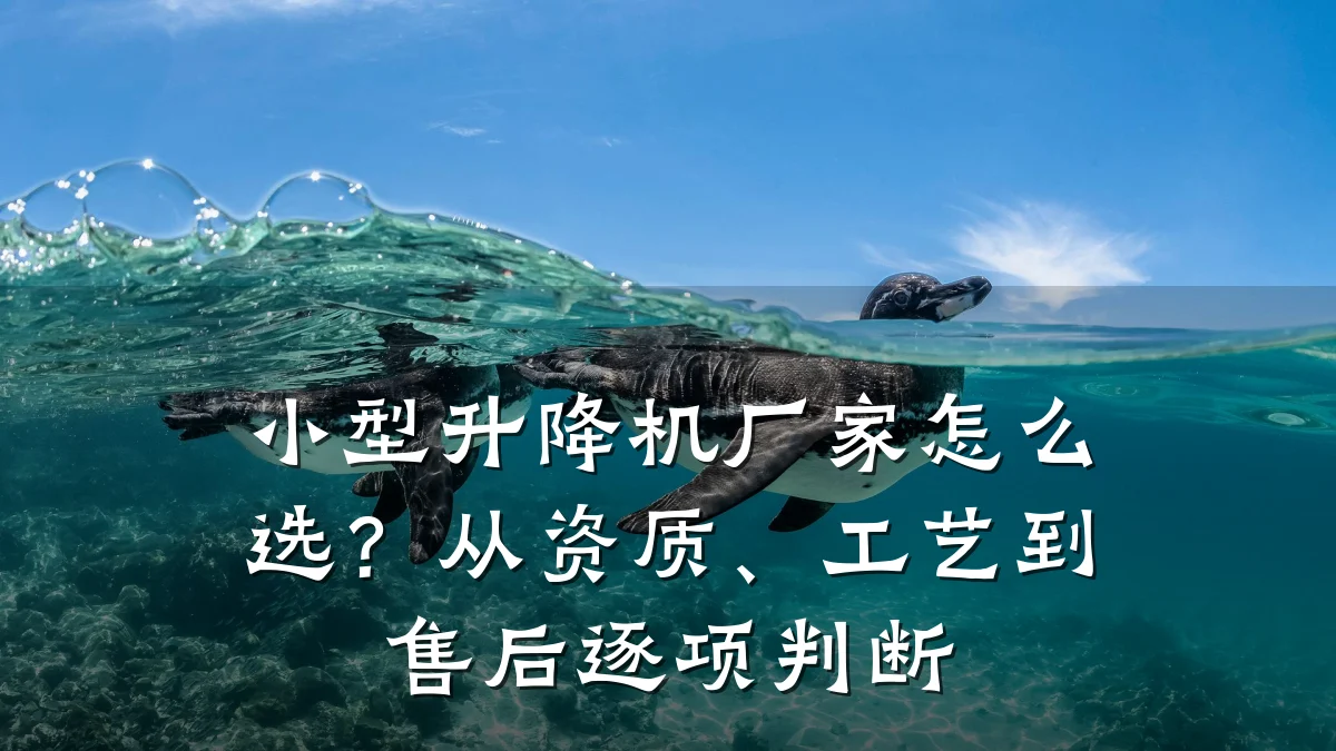 小型升降机厂家怎么选？从资质、工艺到售后逐项判断