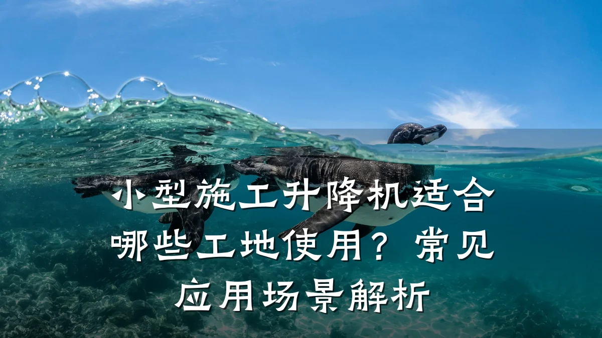 小型施工升降机适合哪些工地使用?常见应用场景解析