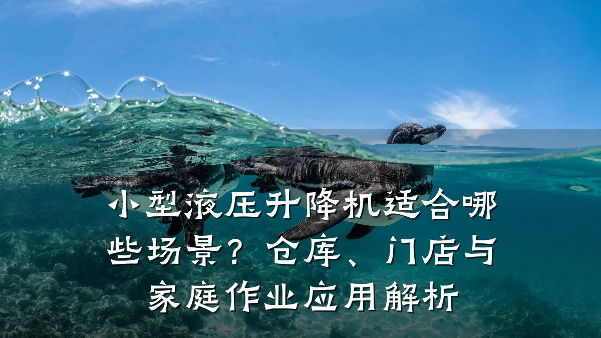 小型液压升降机适合哪些场景？仓库、门店与家庭作业应用解析