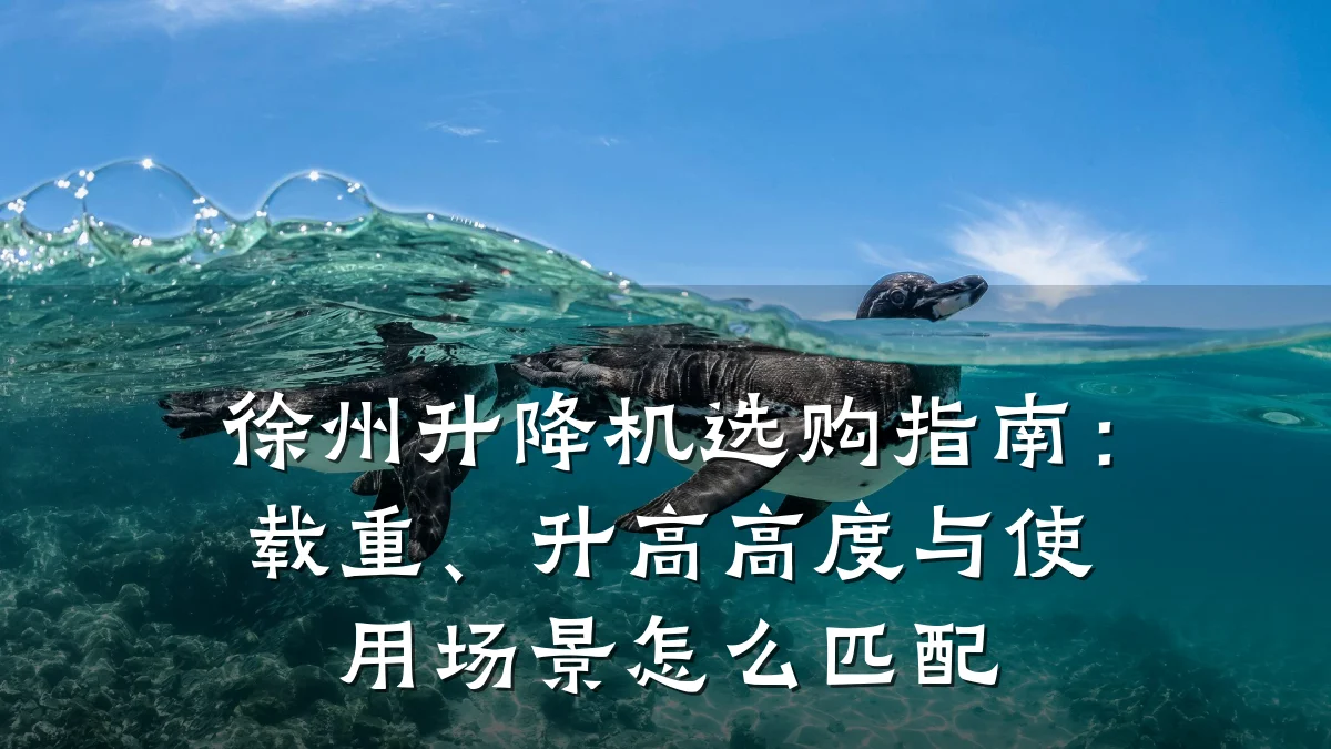 徐州升降机选购指南：载重、升高高度与使用场景怎么匹配