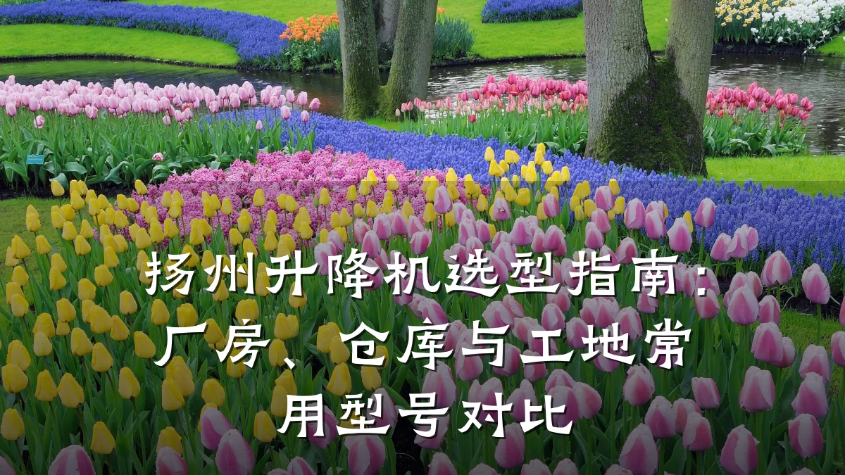 扬州升降机选型指南:厂房、仓库与工地常用型号对比