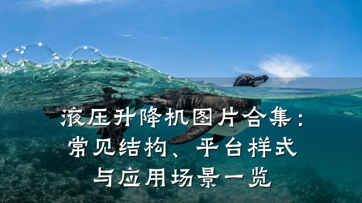 液压升降机图片合集:常见结构、平台样式与应用场景一览