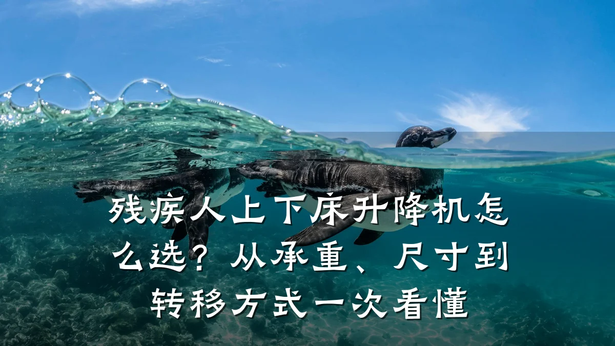 残疾人上下床升降机怎么选?从承重、尺寸到转移方式一次看懂