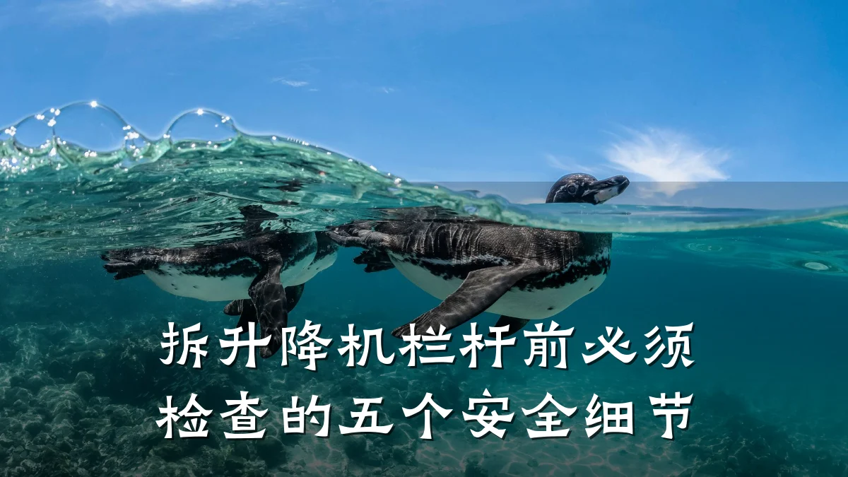 拆升降机栏杆前必须检查的五个安全细节