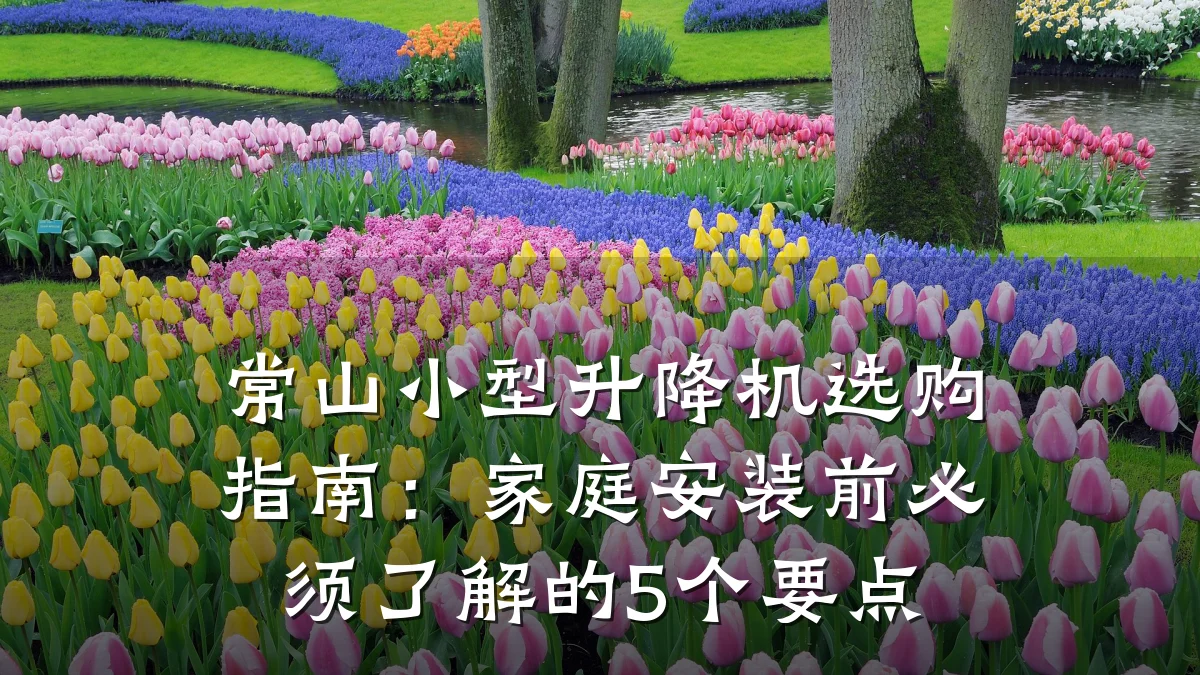 常山小型升降机选购指南:家庭安装前必须了解的5个要点