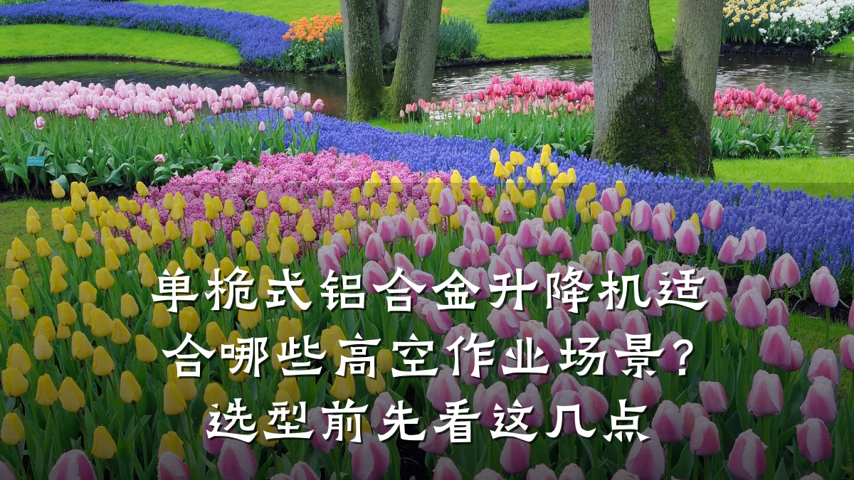 单桅式铝合金升降机适合哪些高空作业场景?选型前先看这几点