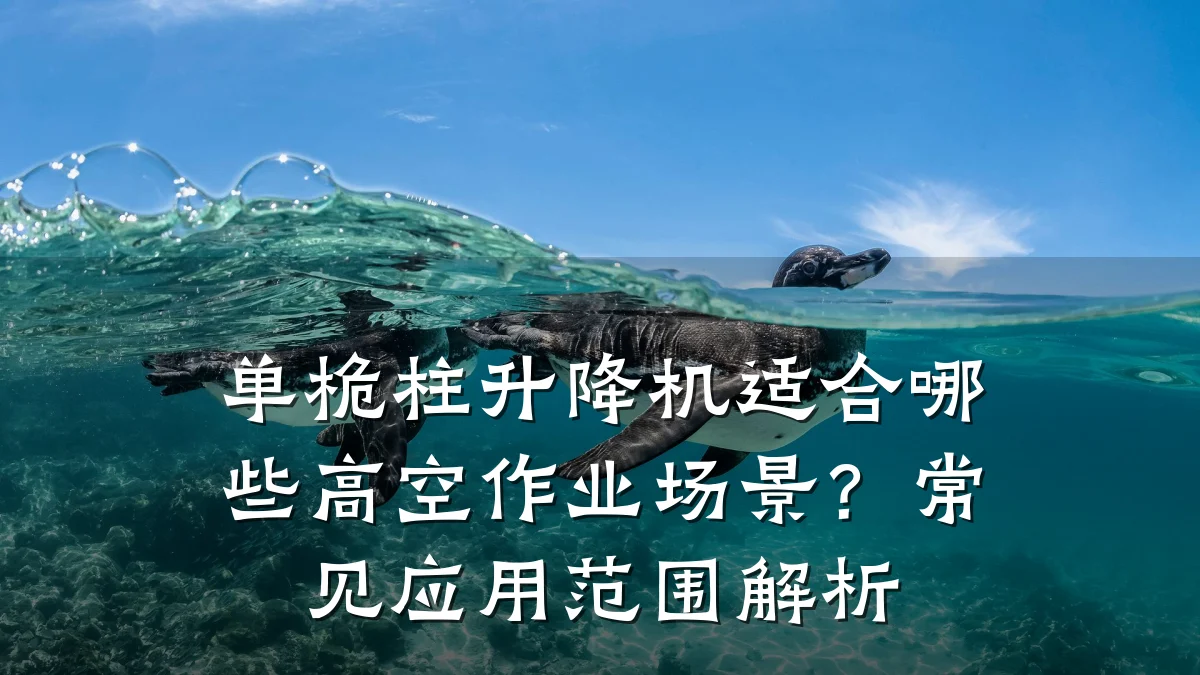 单桅柱升降机适合哪些高空作业场景?常见应用范围解析
