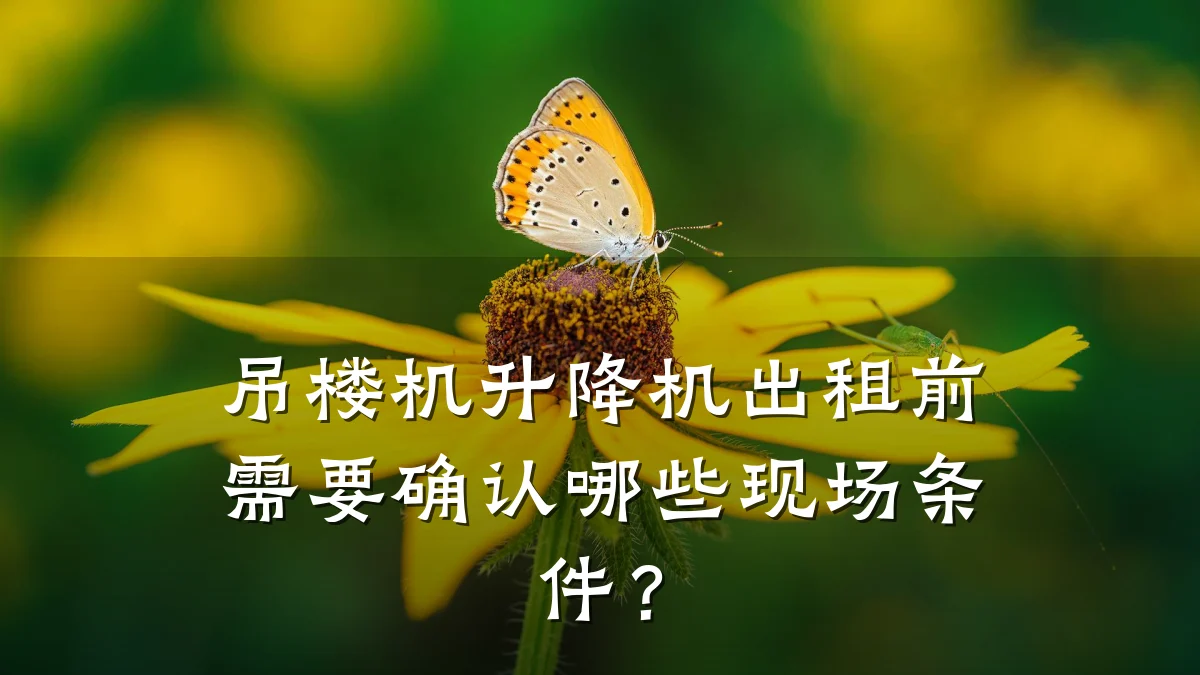 吊楼机升降机出租前需要确认哪些现场条件?