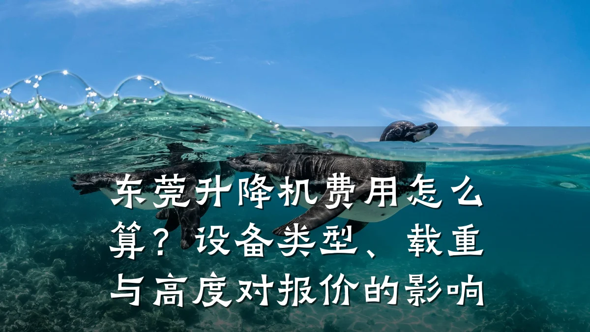东莞升降机费用怎么算？设备类型、载重与高度对报价的影响