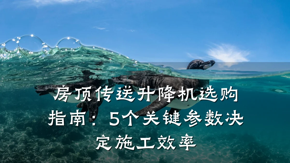 房顶传送升降机选购指南：5个关键参数决定施工效率
