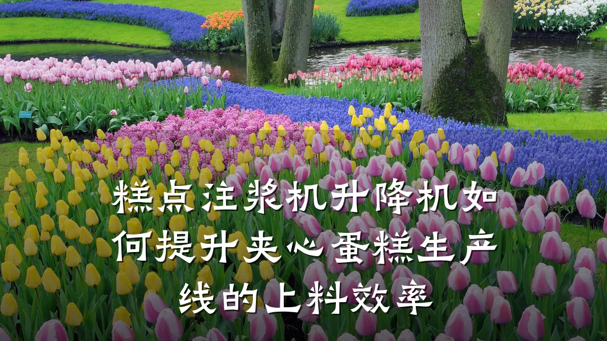 糕点注浆机升降机如何提升夹心蛋糕生产线的上料效率
