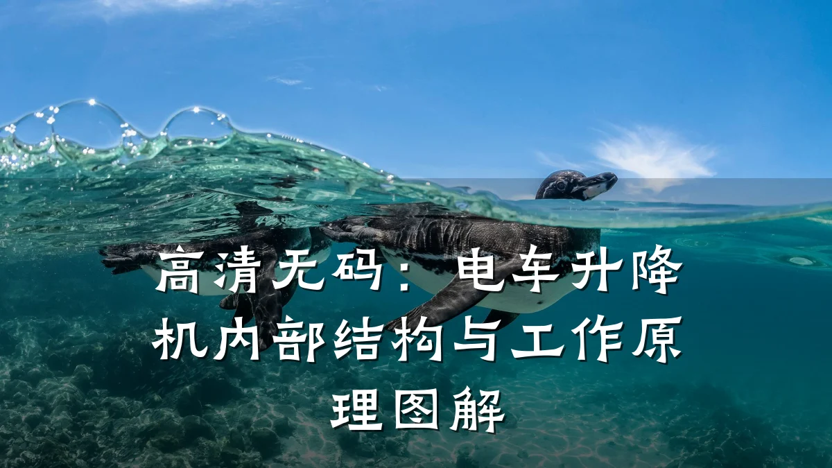 高清无码:电车升降机内部结构与工作原理图解