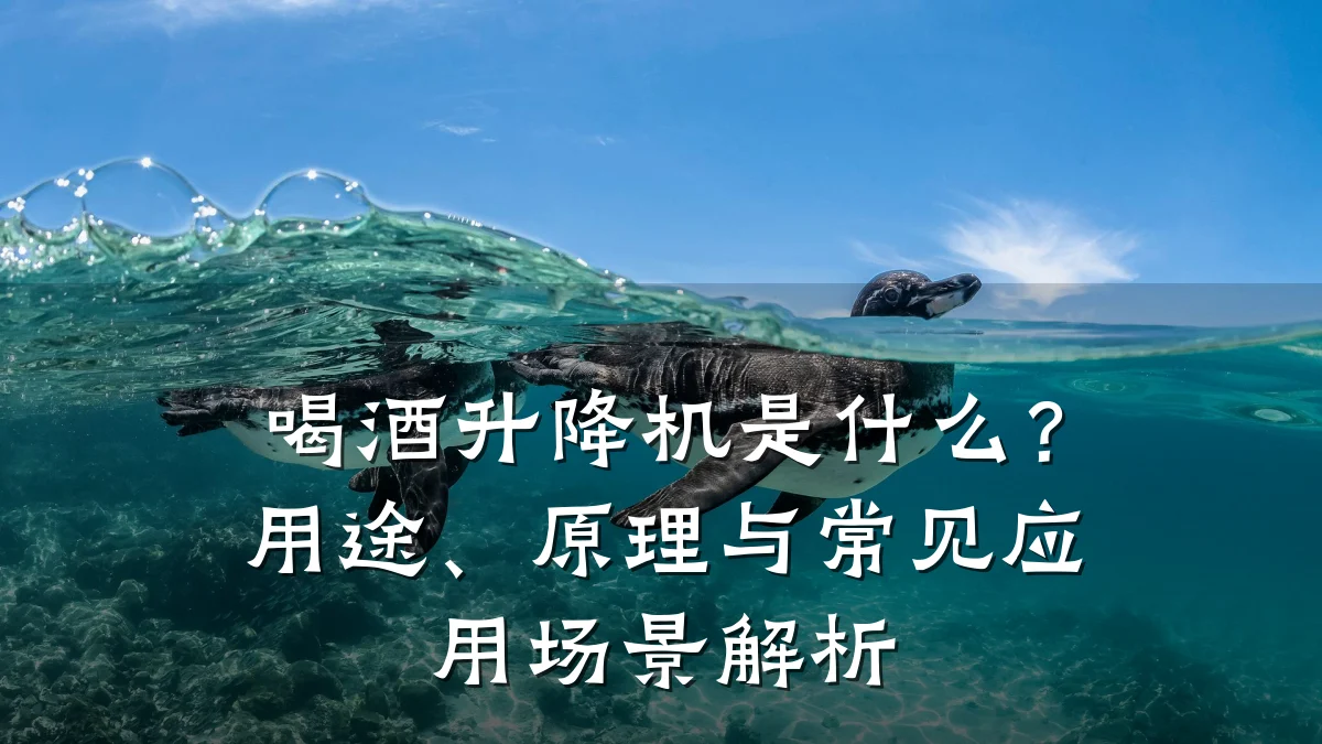 喝酒升降机是什么?用途、原理与常见应用场景解析