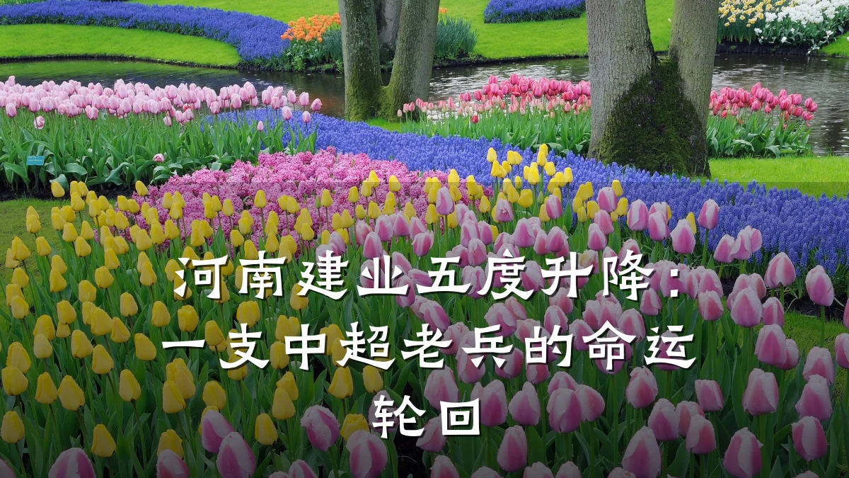河南建业五度升降:一支中超老兵的命运轮回