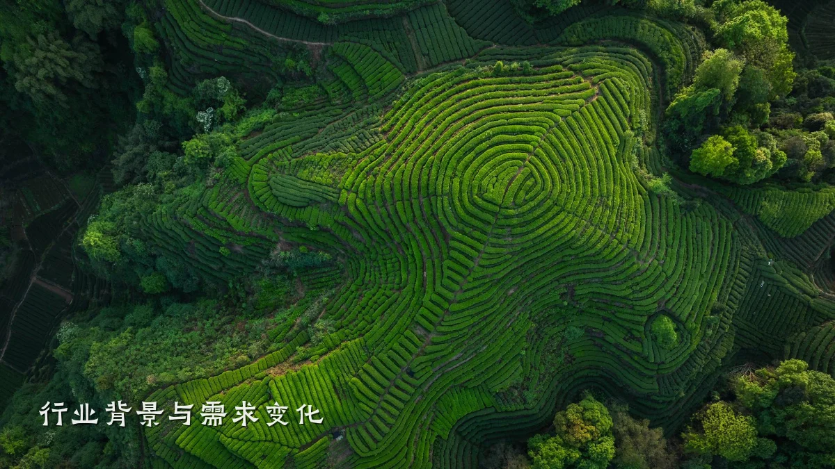 行业背景与需求变化