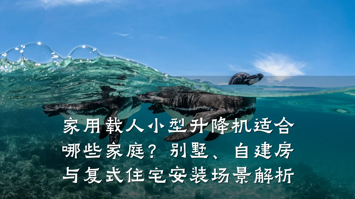 家用载人小型升降机适合哪些家庭?别墅、自建房与复式住宅安装场景解析