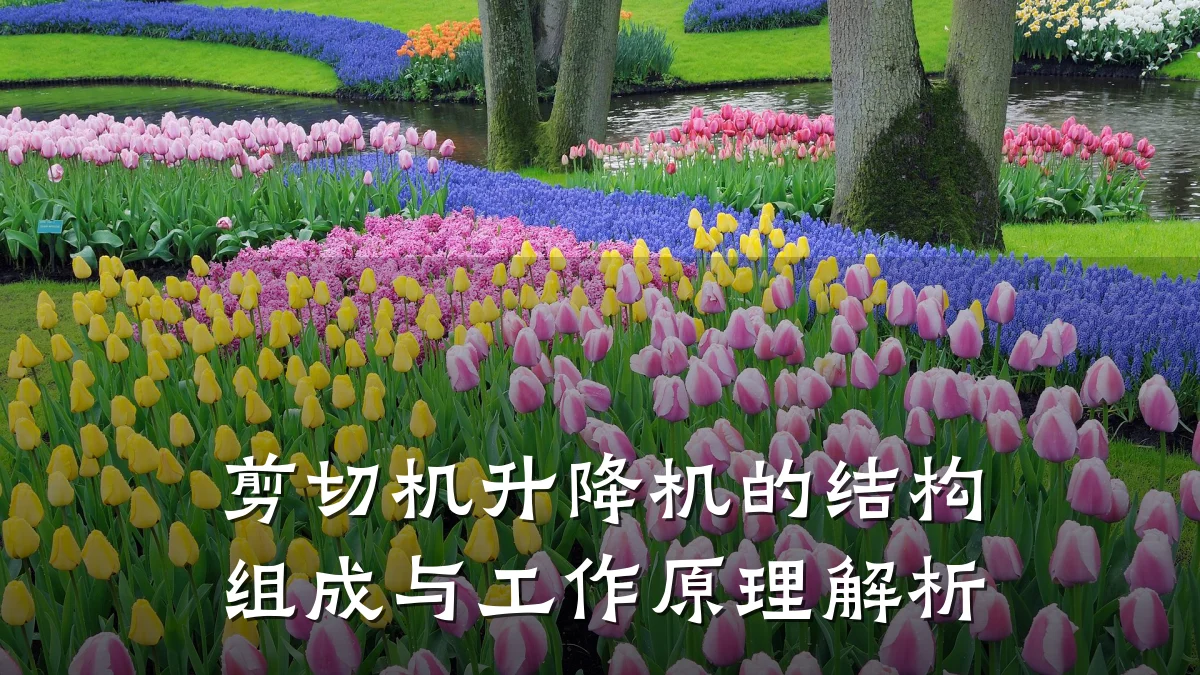 剪切机升降机的结构组成与工作原理解析
