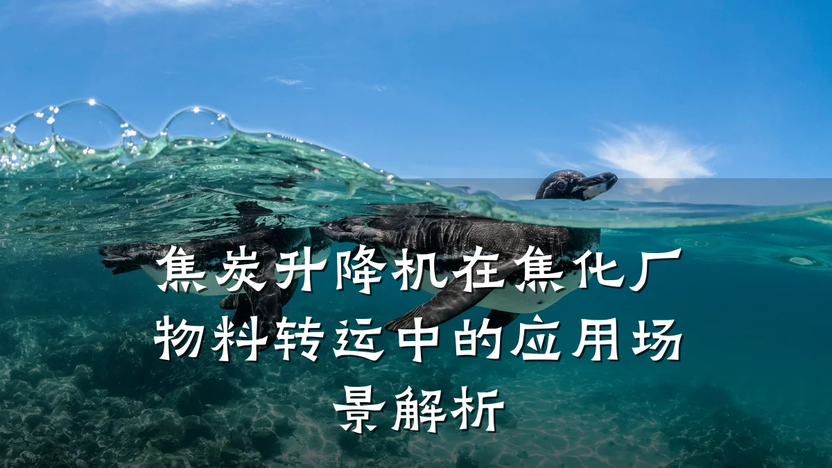 焦炭升降机在焦化厂物料转运中的应用场景解析