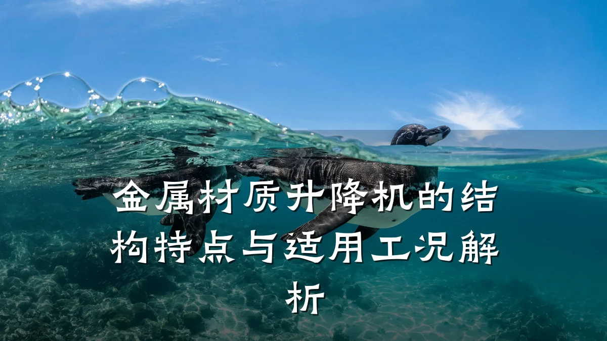 金属材质升降机的结构特点与适用工况解析