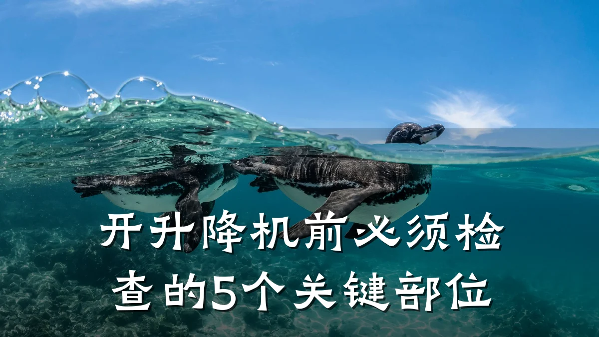 开升降机前必须检查的5个关键部位