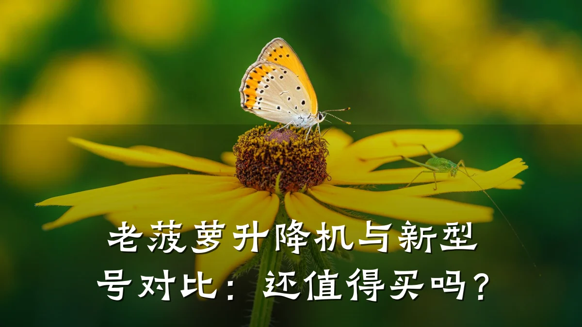 老菠萝升降机与新型号对比:还值得买吗?