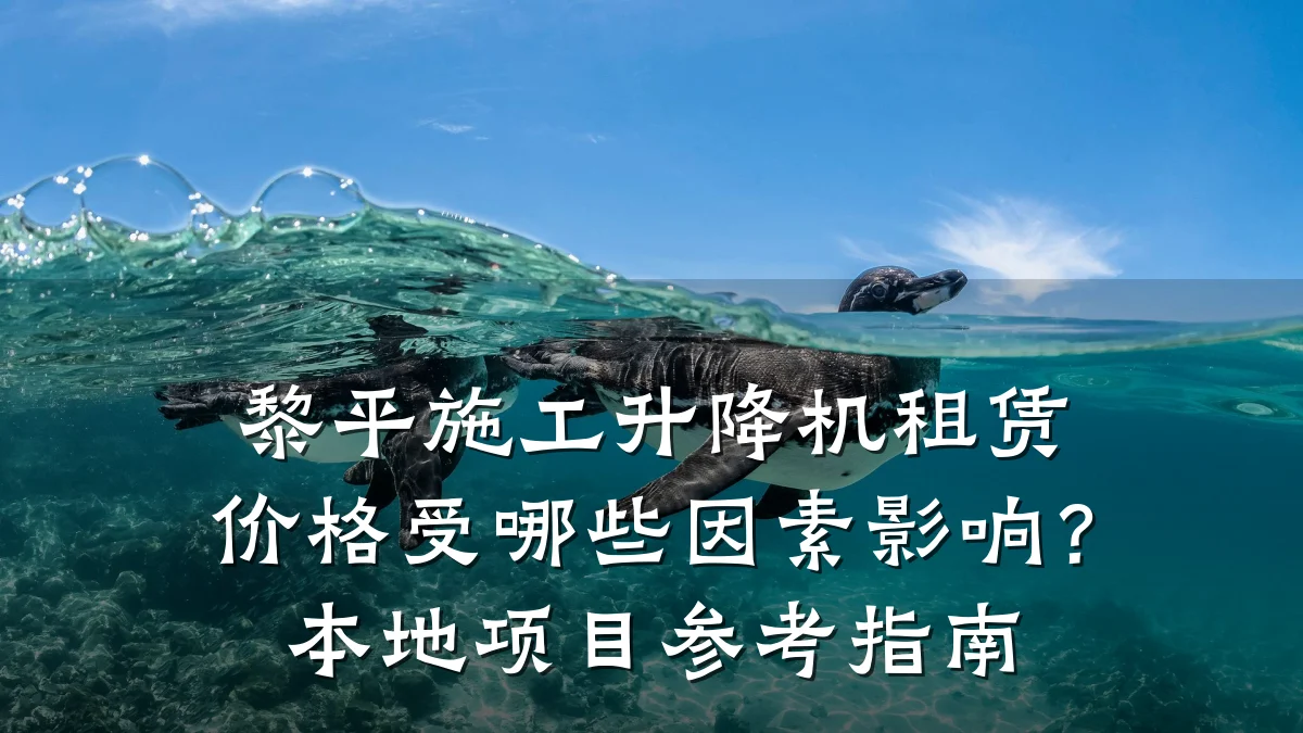 黎平施工升降机租赁价格受哪些因素影响？本地项目参考指南