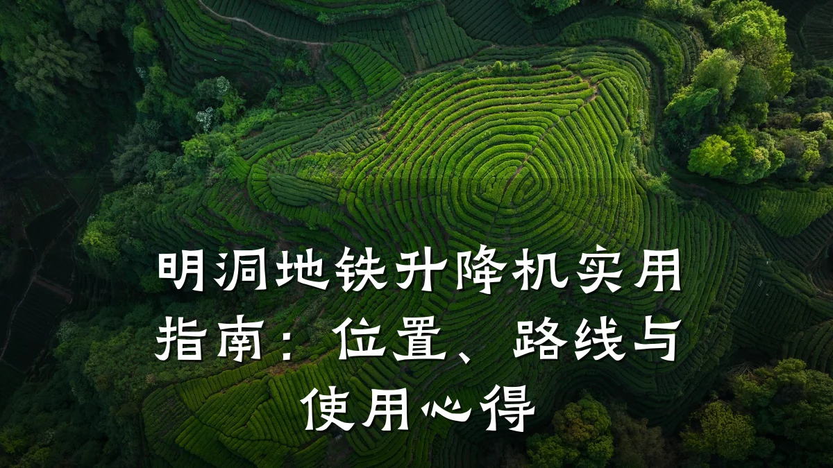 明洞地铁升降机实用指南：位置、路线与使用心得