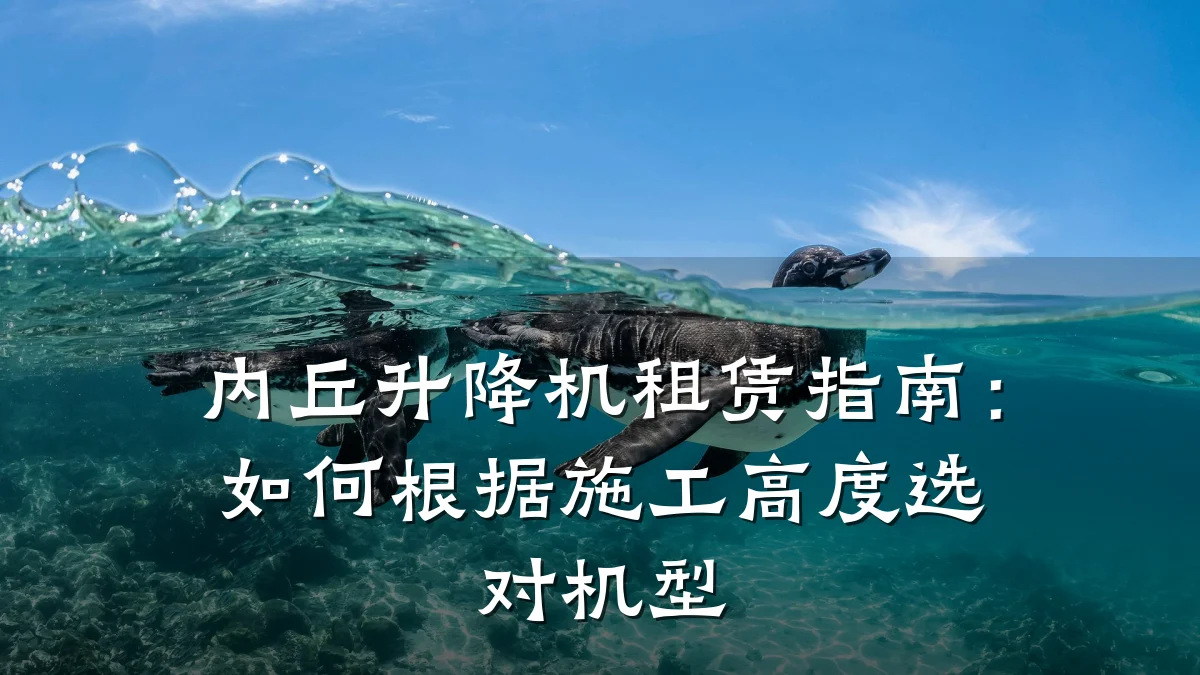 内丘升降机租赁指南:如何根据施工高度选对机型