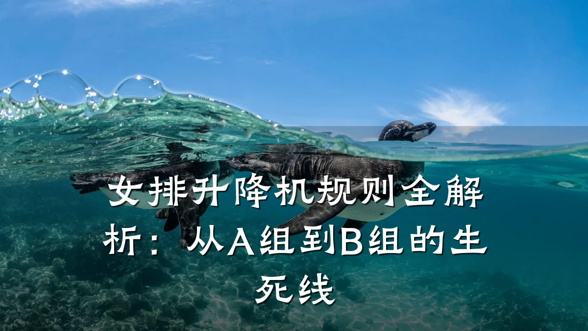 女排升降机规则全解析：从A组到B组的生死线