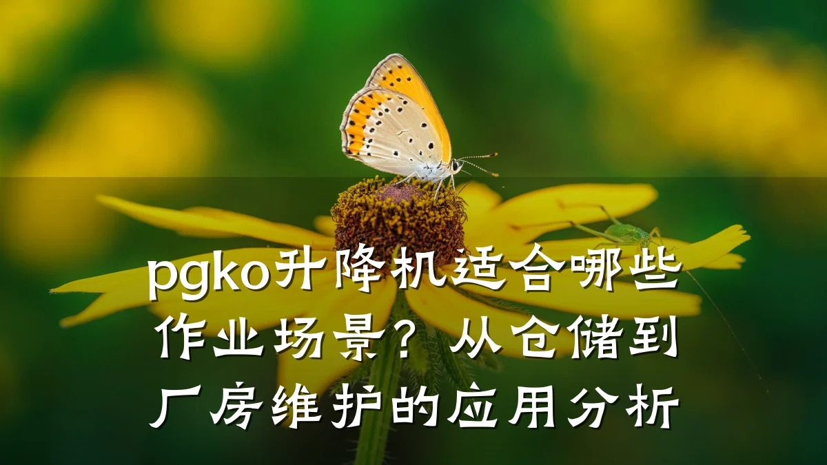 pgko升降机适合哪些作业场景?从仓储到厂房维护的应用分析