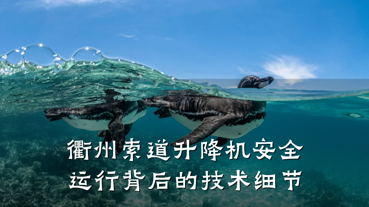 衢州索道升降机安全运行背后的技术细节