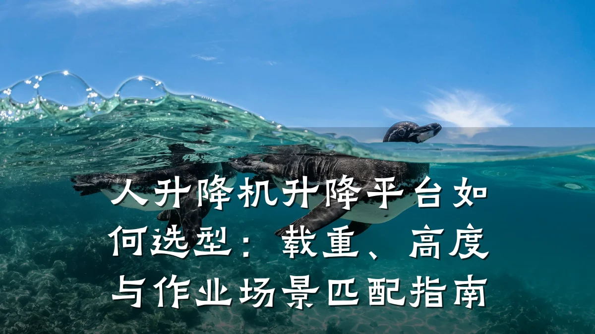 人升降机升降平台如何选型:载重、高度与作业场景匹配指南