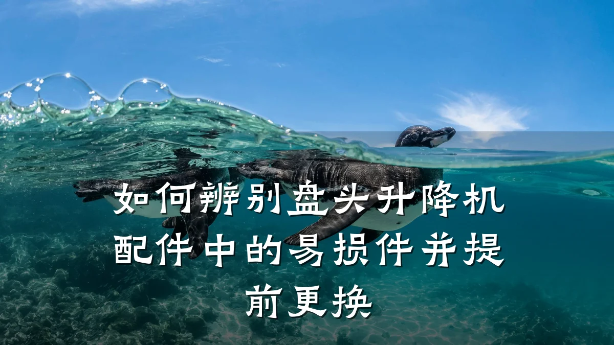如何辨别盘头升降机配件中的易损件并提前更换