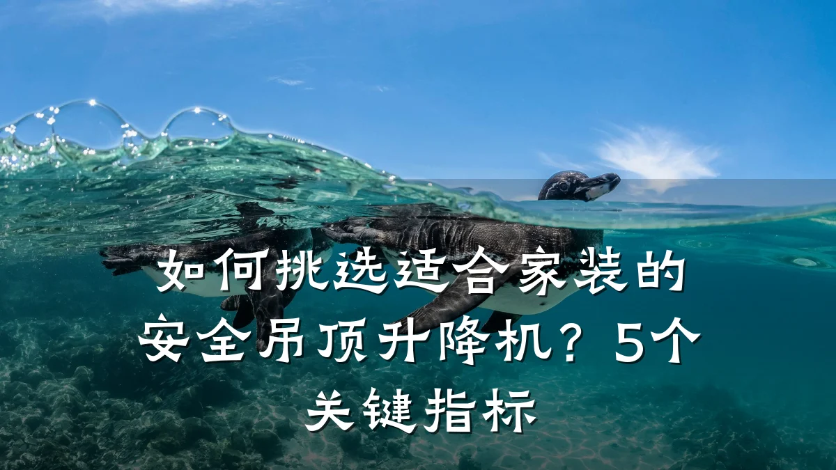 如何挑选适合家装的安全吊顶升降机？5个关键指标