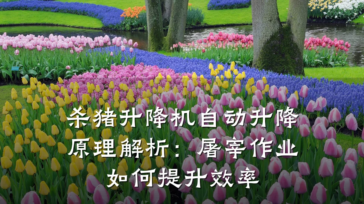杀猪升降机自动升降原理解析:屠宰作业如何提升效率