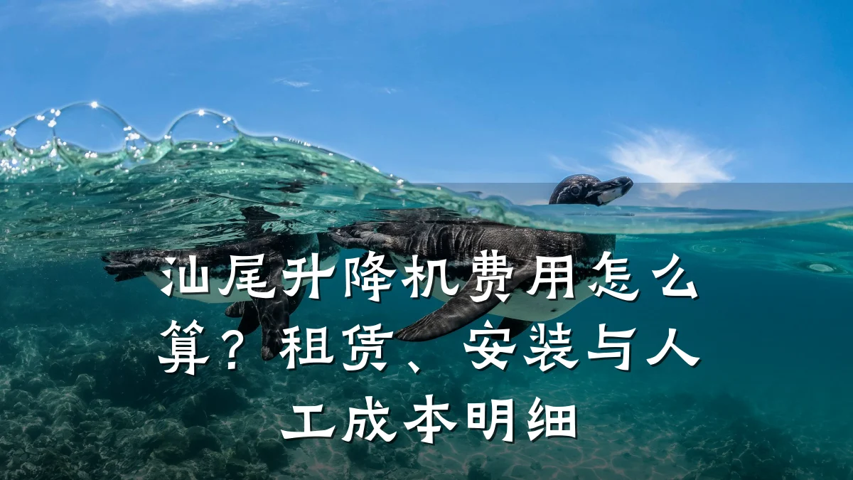 汕尾升降机费用怎么算?租赁、安装与人工成本明细