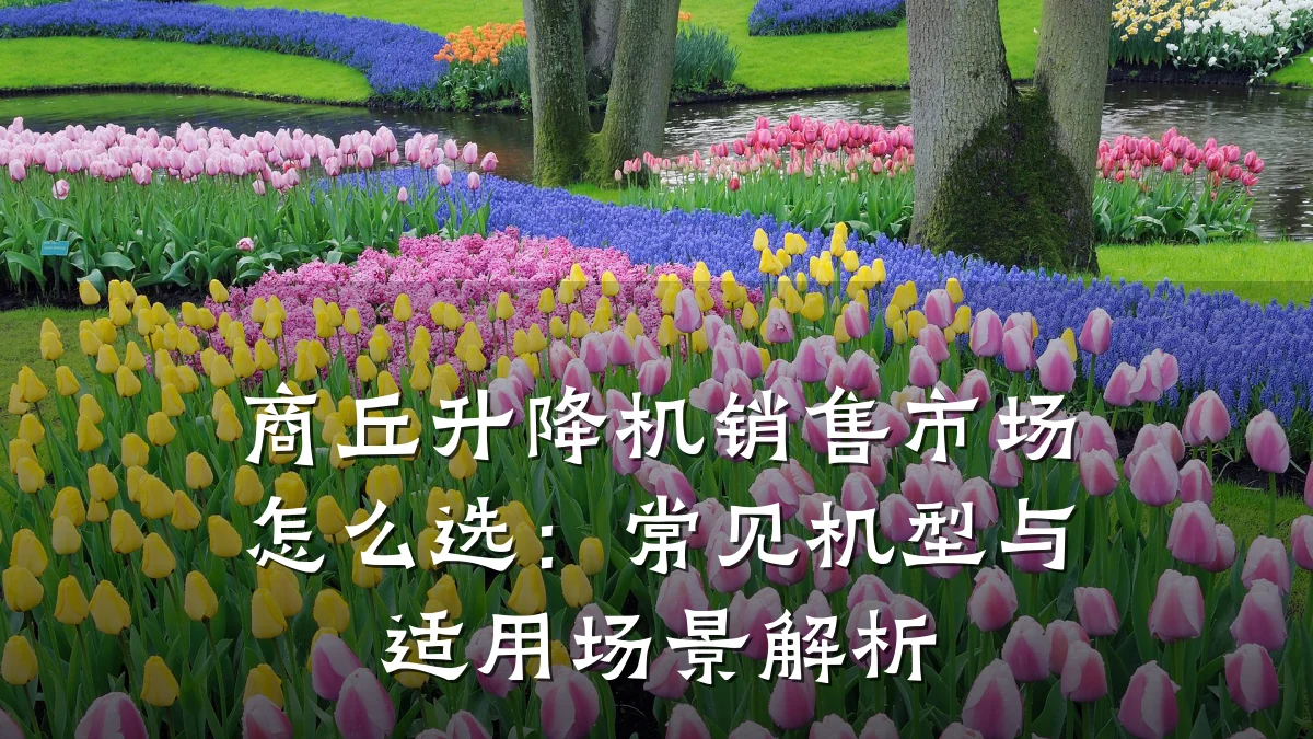 商丘升降机销售市场怎么选:常见机型与适用场景解析