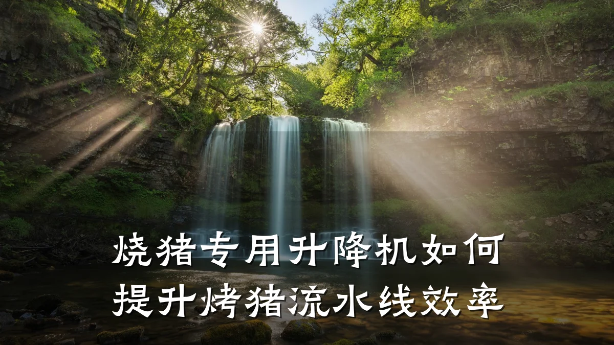烧猪专用升降机如何提升烤猪流水线效率