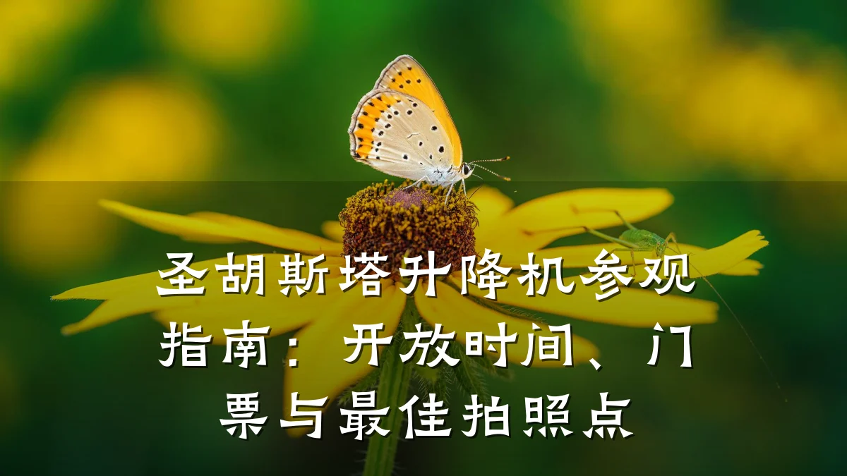 圣胡斯塔升降机参观指南:开放时间、门票与最佳拍照点