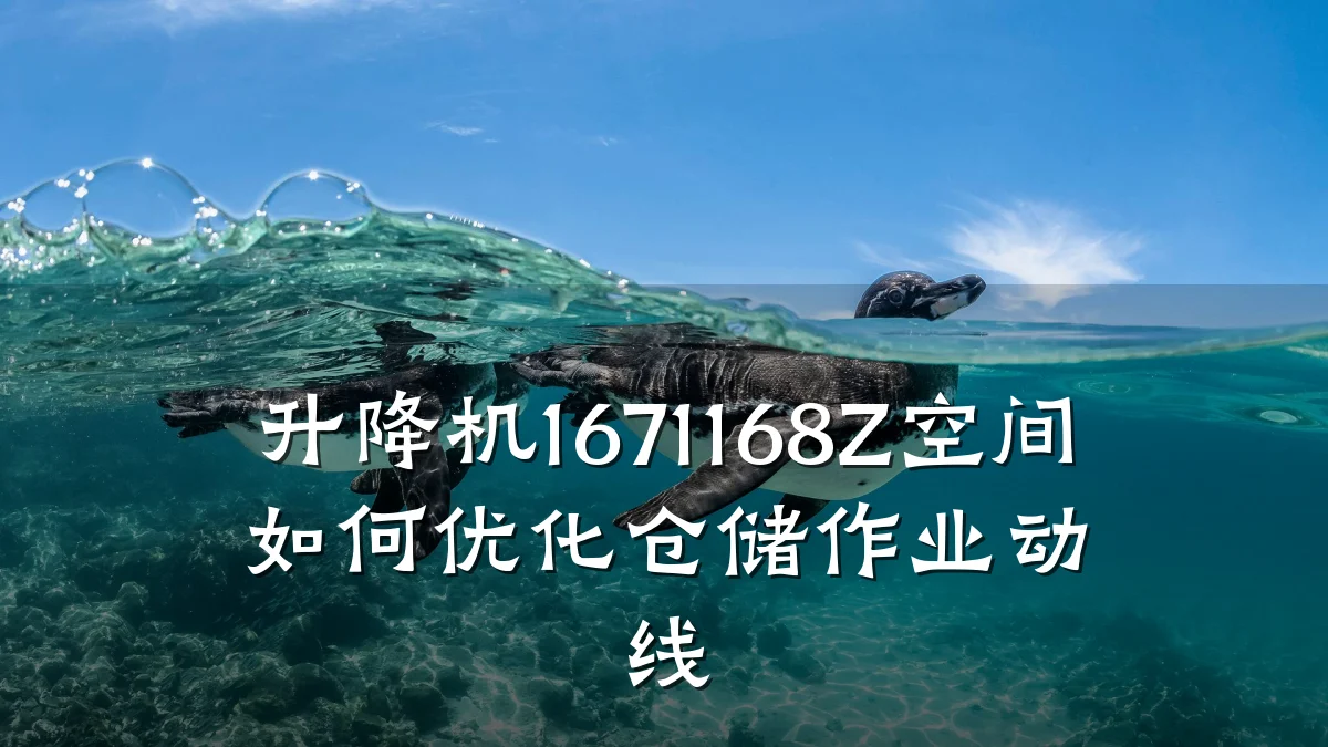 升降机1671168Z空间如何优化仓储作业动线